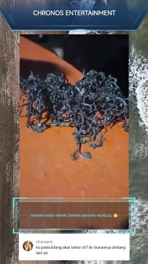 animals of the end times 😳