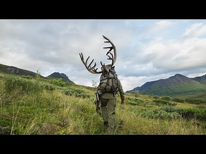 Live Wild: The Adventure Continues