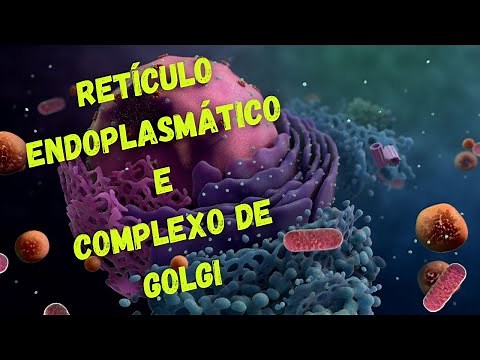 Retículo endoplasmático e complexo de Golgi - Fisiologia Humana