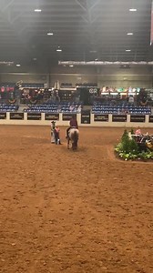 2.1K views · 132 reactions | Unanimous Champions at the NSBA World 4-6 Open Western Pleasure, VS Lady In Red and Aaron Moses! So cool to watch such an awesome group of horses. Sired by VS Code Red. #vscodered #aaronmosesshowhorses #makingchampions | VS CODE RED | Facebook