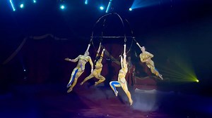 THE CIRCUS WORTH WAITING FOR! The Greatest Show visits Wexford Racecourse in just over two weeks – from Wednesday 5th – Sunday 9th October. Demand is high and extra performances have already been added. Don’t miss out - BOOK NOW at www.duffyscircus.com | Tom Duffy's Circus