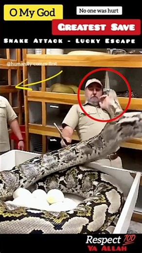 Ya Allah☝️Greatest Save.😱❤️💯#shorts #short #status #respect Snake Attack Lucky Escape