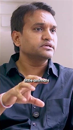 Where can you export Cattle & Animal Feed?