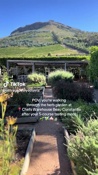 Best Places to Eat in Cape Town | Chefs Warehouse, Beau Constantia