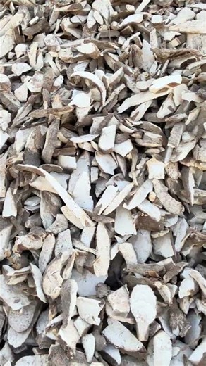 Cambodia Dried Tapioca Chips. 柬埔寨木薯干片。买卖请联系微信：855 014 440 400