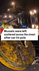 7NEWS Perth on Reels