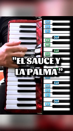 17K views · 217 reactions | "El Sauce y la Palma" TUTORIAL en Teclado / Piano - Acordeon de Teclas #LosAlegresDelBarranco #elsauceylapalma #acordeondeteclas | Aprende acordeon de teclas | Facebook