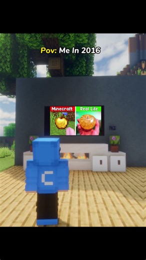 Minecraft Pov: Me in 2017 🥺