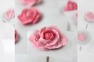 #NEW VIDEO ALERT: This week I've got a fundamentals video - my take on how to pipe royal icing roses and color them four ways. View in high res on YouTube: https://youtu.be/iyIh2DeJENo?list=PLE8_nG5Lq4LXACIsfdgMDTa48XNxALhg3 | Julia M Usher