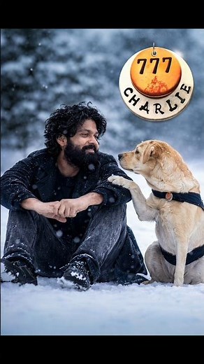 777 Charlie on Prime Video – Adventure/Comedy | Worth Watching?