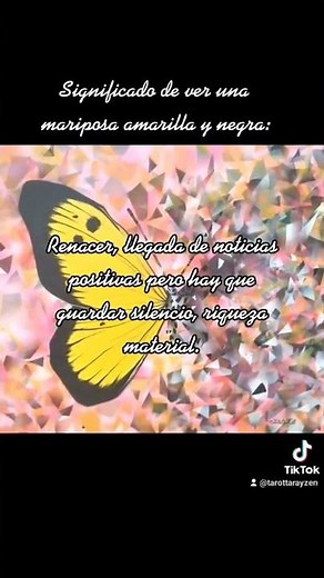 Qué significa ver una mariposa amarilla y negra?🦋✨