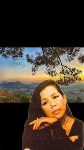 အကြံပြုထားသည့် အကောင့်များ