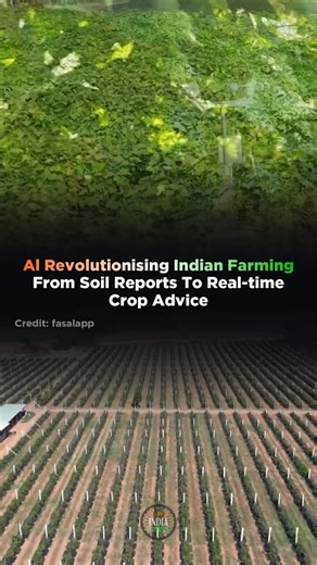 Startup India Stories 🇮🇳 on Instagram: "AI is no longer just in labs it’s in our farms! From soil testing to real-time crop advice, AI is helping Indian farmers grow smarter, faster, and more profitably. The future of farming is data-driven and AI-powered! Follow @startupindiastories #AIinFarming #AgriTechIndia #SmartFarming #DigitalKisan #FutureOfFarming #AgriRevolution #TechInAgriculture"