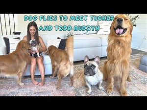 My Dog Met ‪@TuckerBudzyn‬ and his son, Todd!