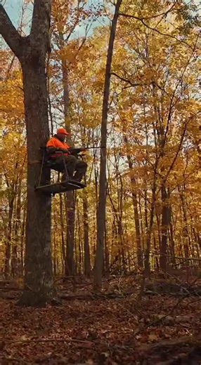 Hunter Rides Wild Buck Through Forest