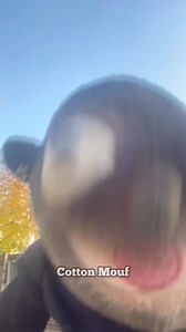 1.8M views · 10K reactions | “His toes gone be twinkling”  | Cartoon Connect | Facebook