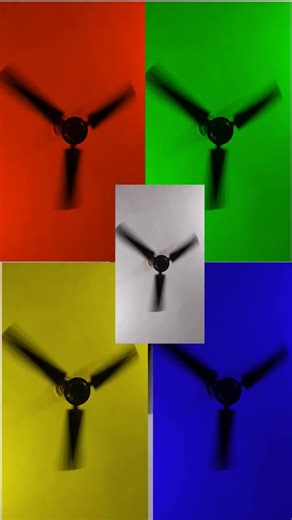 fan fun ceiling fan #ceiling #funny #fanvideo #ceilingfan