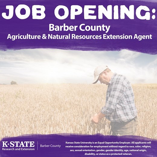 Deadline Approaching! Apply Now - Extension Agent in Barber County We’re Hiring: Agriculture/Natural Resources & Youth Development Extension Agent There's still time - but not much! The application DEADLINE is November 17, 2025 to join K-State Extension. As an Extension Agent, you'll: ⭐ Serve local producers with ag & livestock expertise ⭐ Support youth development programs ⭐ Deliver K-State’s research to solve real-world challenges Apply today: ksre.k-state.edu/about/careers | Barber County K-S