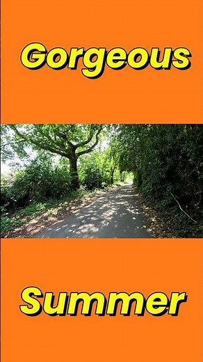 Escape to the Hampshire Countryside 🌿 ☀️