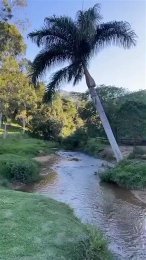 Confira conosco essa lista com vários lugares aqui em Juiz de fora, para passar um bom final de semana , com atendimento incrível, pratos maravilhosos . Lugares citados abaixo com @ e endereço 👇👇 @pprioclaro Localizado em Monte Verde KM122 da MG 353 bem na entrada da estrada de Pires @ranchovwcanabrava localizado em Valadares, perto do pico cabeça de formiga, solicitar a localização junto ao local caso tenha dúvidas. @machados_restaurante_lazer solicitar a localização do local junto ao estabel