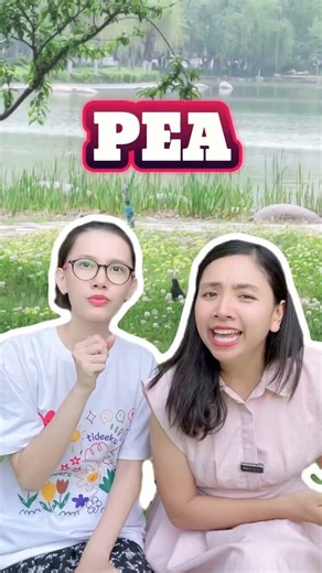 Peacock trong tiếng Anh là gì? Từ vựng động vật cực dễ nhớ | Hoàng Minh Thủy