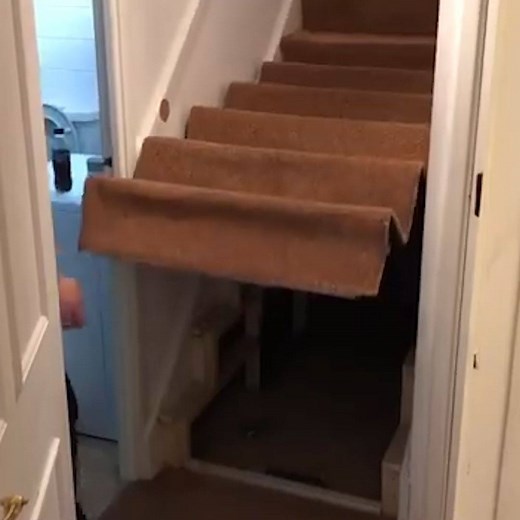 998K views · 2.8K reactions | This two hour home renovation gives you extra storage space  | In The Know Innovation | Facebook