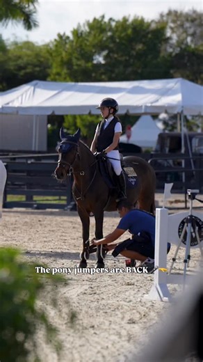 The pony jumpers are back! Week 1 done and finished up Reserve Champion! 💥 So proud of Flash! Thank you so much to @ronanmcg74 for the best training and congratulations to Zara for winning Champion! 🏆 #ponyjumper #winterequestrianfestival #wellingtonfl #wellingtonflorida #youngequestrian | Fifi Horse World