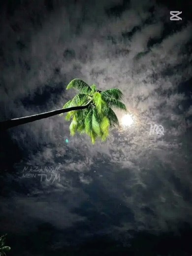 Choo lo - The Local Train#song