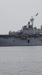 🇺🇸USS Wasp (LHD-1) Wasp-class amphibious assault ship | Richard LeBel