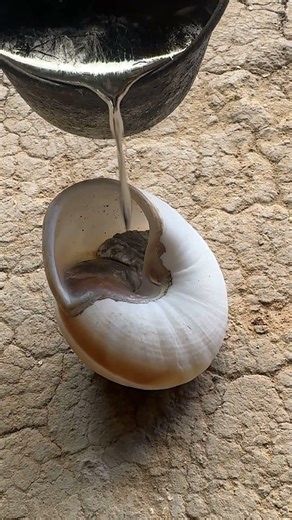 Pouring molten aluminum into a snail shell was the best decision #shorts #casting #art
