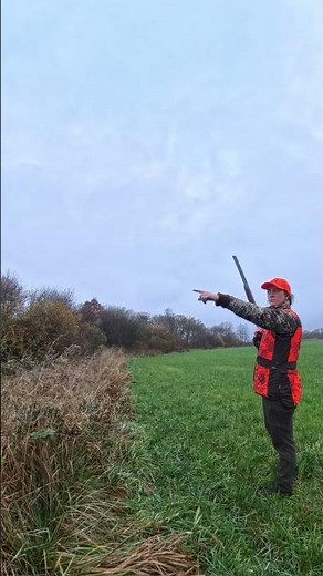 Pheasant hunt #pheasants #pheasanthunting #fasan #jagt #hunting #fællesjagt