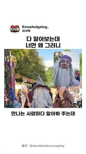 킹덤 오브 엘피아(Kingdom of Elfia) 판타지 축제에 덤블도어 교수님이 등장했습니다! 🪄