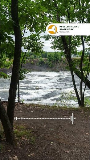 Moment of Mindfulness - Peebles Island State Park