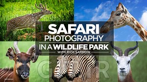 عکاسی حیات‌وحش در پارک حیات‌وحش