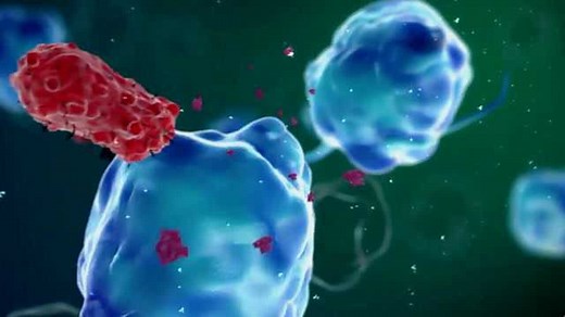 3D动画演示炎症反应和免疫系统发生原理，看完涨姿势了