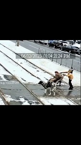 317 reactions · 14 shares | Free Your Mind and Think on Reels | Facebook