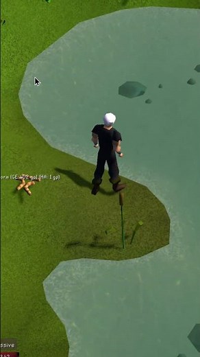 OSRS Swamp Toad Trick – 1M GP/Hour With No Stats!