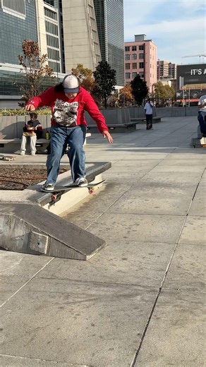 Franky Villani - fakie flip tail slide