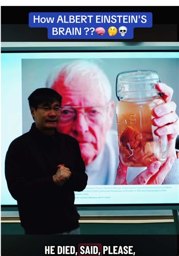 The Secrets of Albert Einstein's Brain Discovered