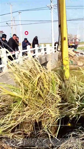 River's Sieve: The Mechanical Harvest of Aquatic Vegetation