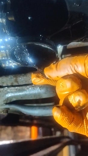 Citroen C3 1.2 75k miles This car came in with a low oil pressure warning on the dashboard so the first check was to check the oil level then to check the oil strainer in the sump. As you can see the strainer was blocked with sludge restricting the amount of oil being supplied to the oil pump. Fresh oil will go in tomorrow after the sealant has cured then I'll be able to verify the oil pressure. If this is a fix then the customer wants to get the timing belt changed which is way overdue. Update 