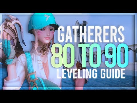 80 to 90 Gatherer Leveling Guide ! | Fast Gatherer Leveling in Endwalker (Rotations Included)| FFXIV