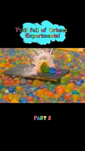 TheBackyardScientistt on TikTok