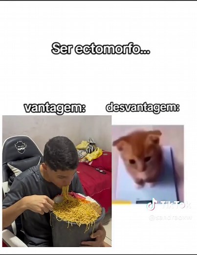 O Que é Ectomorfo? Descubra Tudo Sobre este Tipo de Corpo!