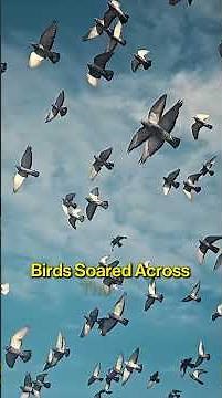 The Complete Story of Creation | From a Biblical Perspective | Genesis | #biblestories #faith #fyp