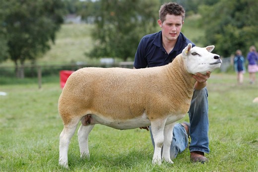 20 nostalgic old photographs from the Fermanagh County Show down through the years