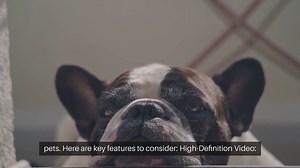 Best Pet Friendly Security Cameras