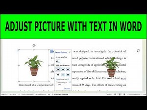How to Position Pictures Perfectly In MS Word: A Guide to Inline and Text Wrap Styles