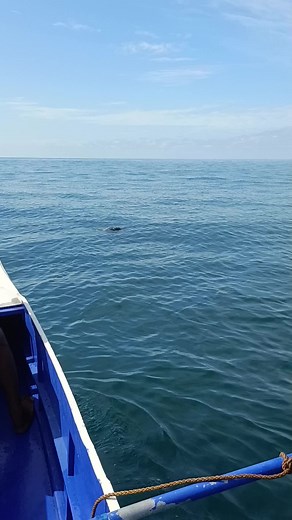 #parikoy #fisherman #☝️🙏🙏🙏