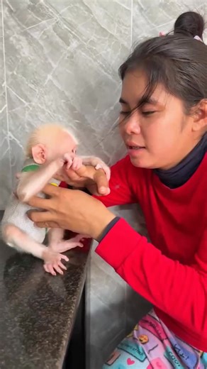 Adorable Baby Monkey Cuddles with Mom